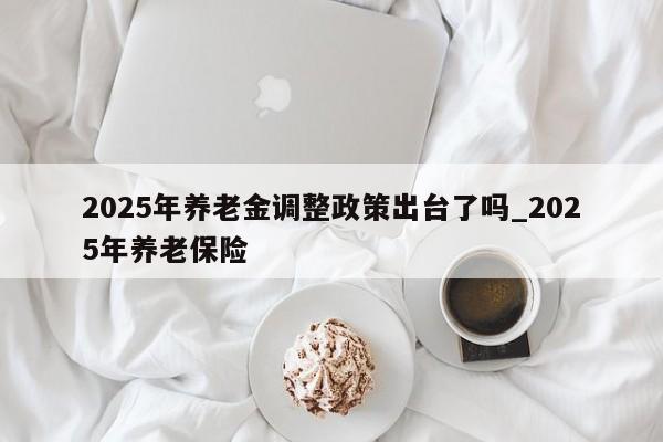 2025年养老金调整政策出台了吗_2025年养老保险