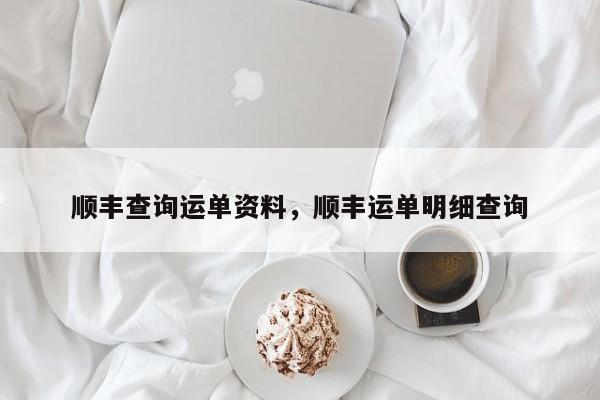 顺丰查询运单资料，顺丰运单明细查询